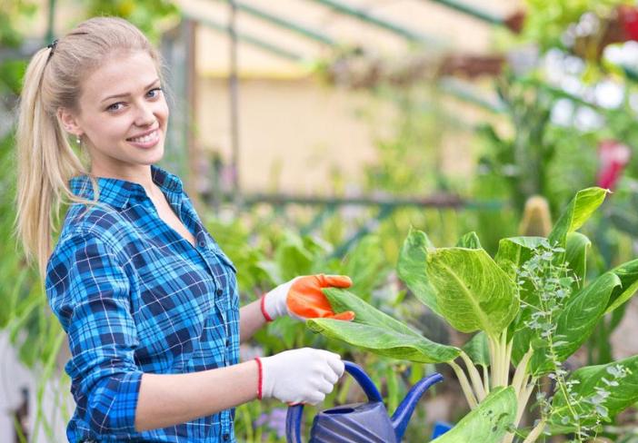 种植盆栽怎么学技术,最新种子种植攻略