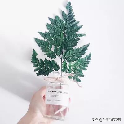 花店常用的配花配草有哪些方法,常见配花配草