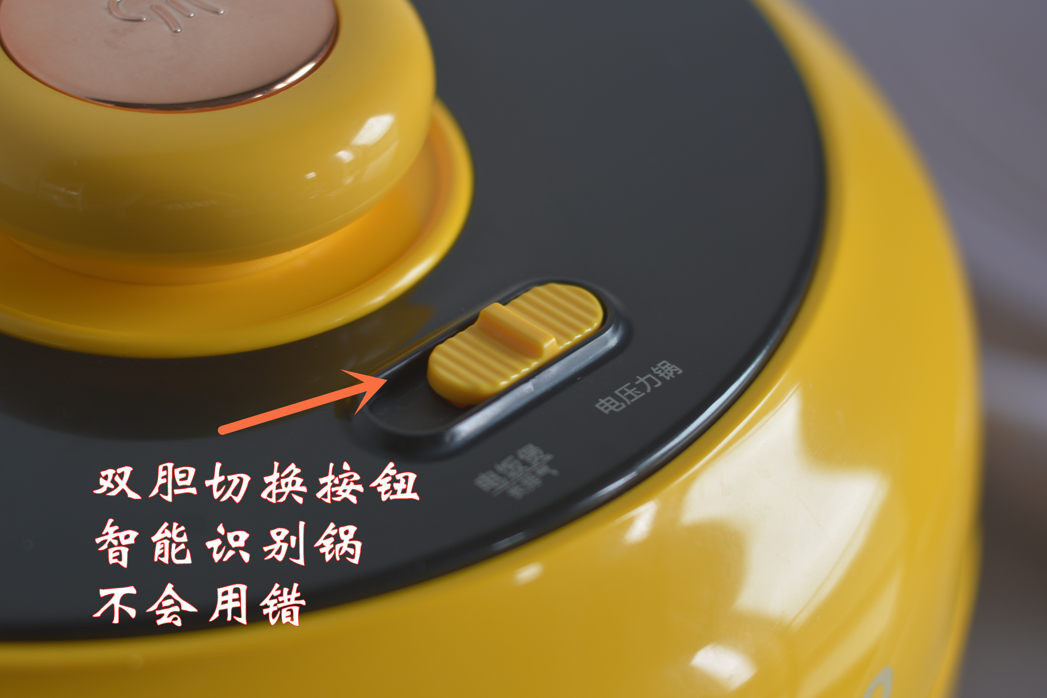 网红电压力锅,双胆电压力锅排行榜第一名小熊