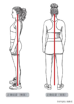 1对哑铃6个动作每天1次适合上班族,哑铃弹力带锻炼