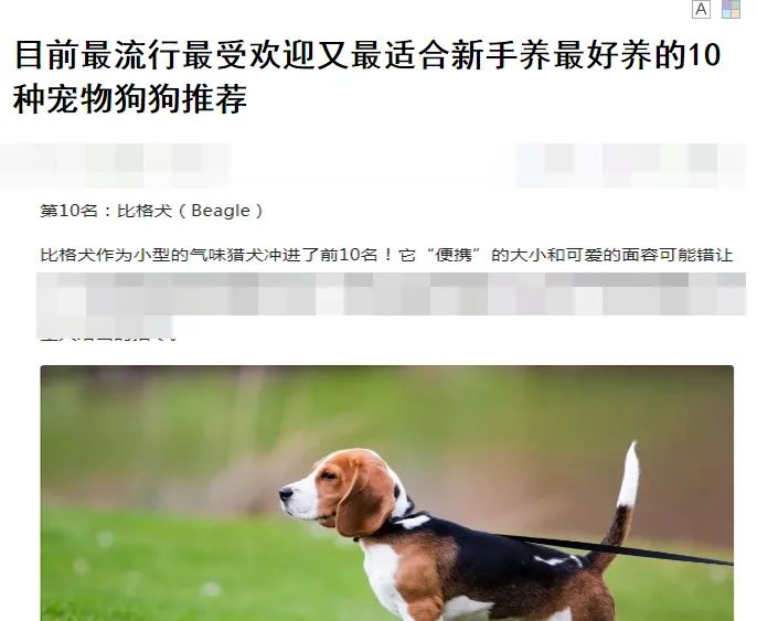 这5种狗你都敢养,建议新手便宜养的10种狗