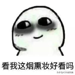 明日方舟入坑自建号还是起始号,方舟生存进化萌新入坑攻略