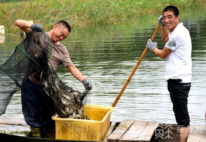 灌南县的未来发展之路,从产业地到产业高地的转变