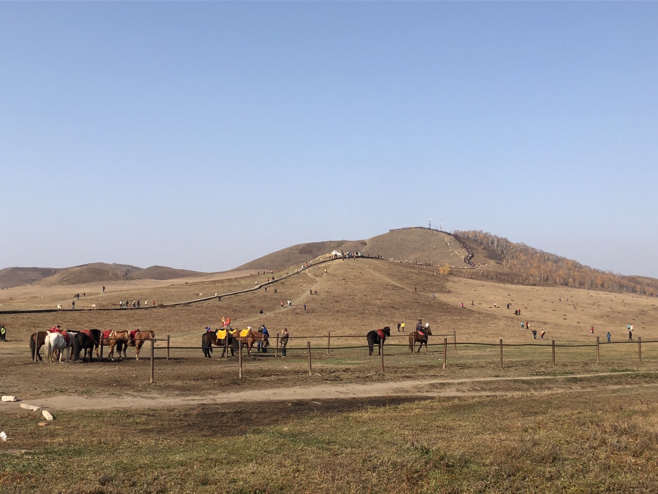 坝上三大景点,坝上草原是丰宁还是围场的