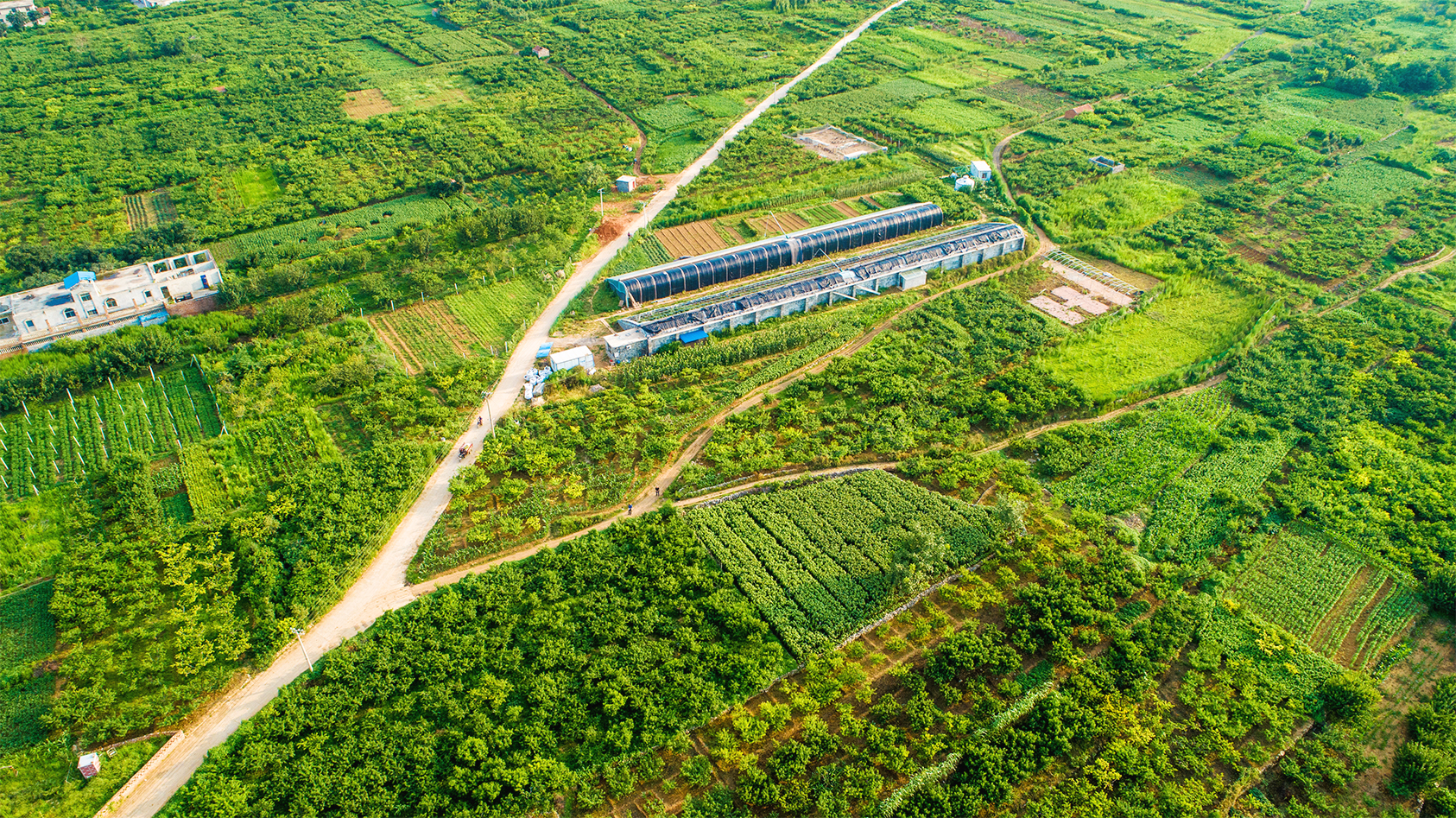 济南南山好吃的美食店推荐,济南南山区有什么好吃的