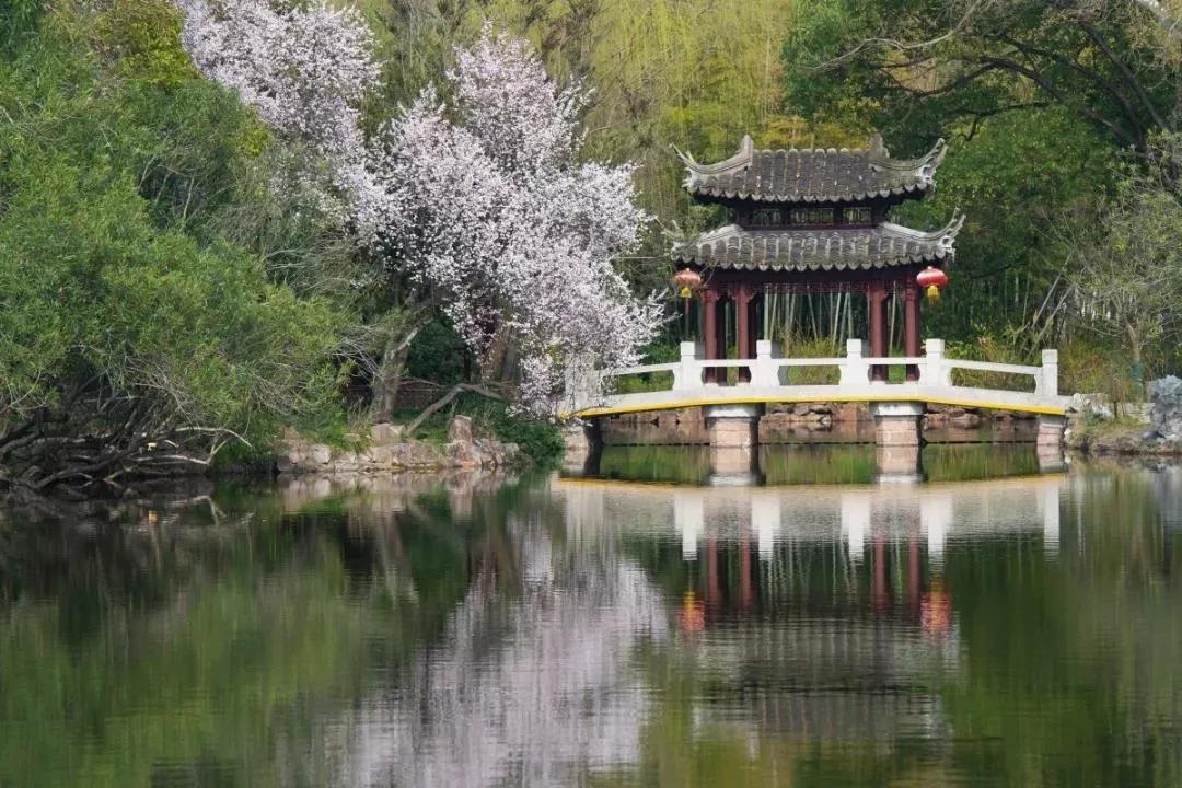 古猗园预约如何操作,古猗园预约入园