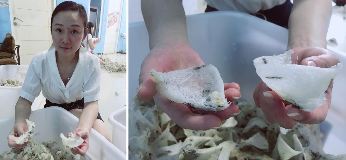 燕窝真没营养吗,燕窝假货可靠吗