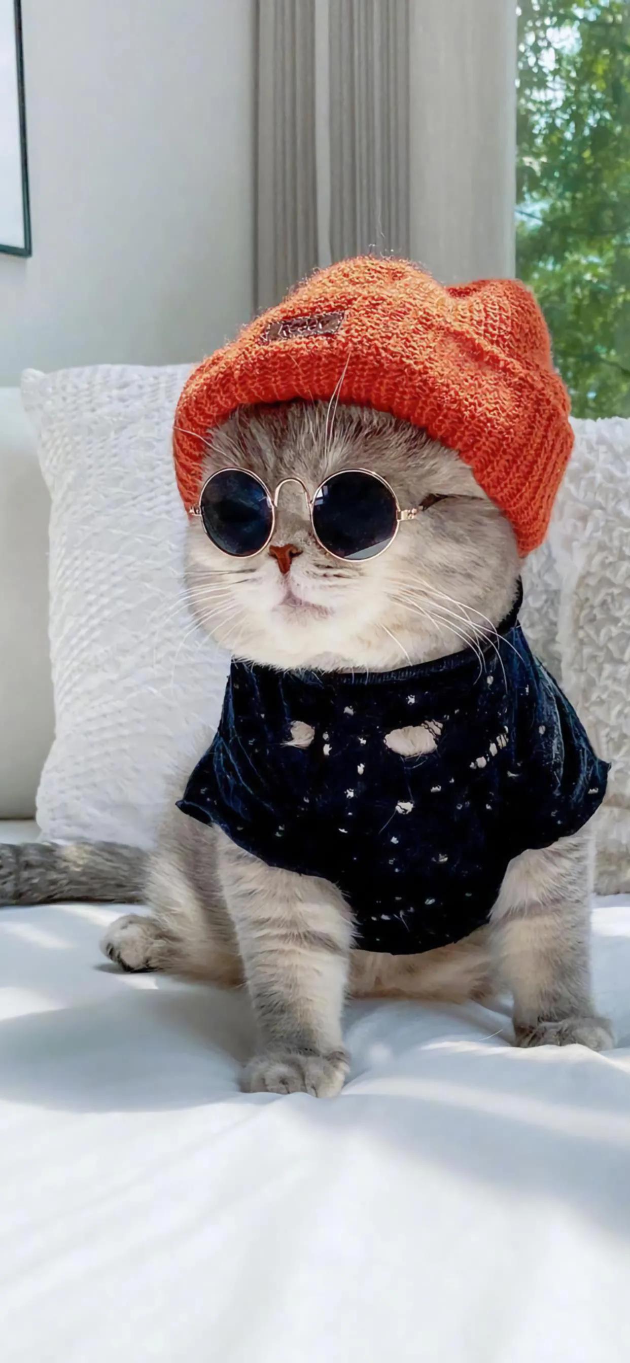 壁纸分享经典手机壁纸,手机壁纸好看的壁纸分享