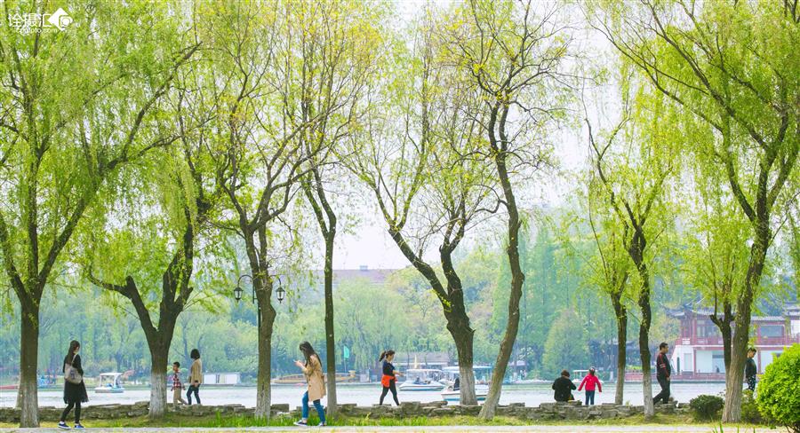 古人七言对联描写春天,诗词对联写春天