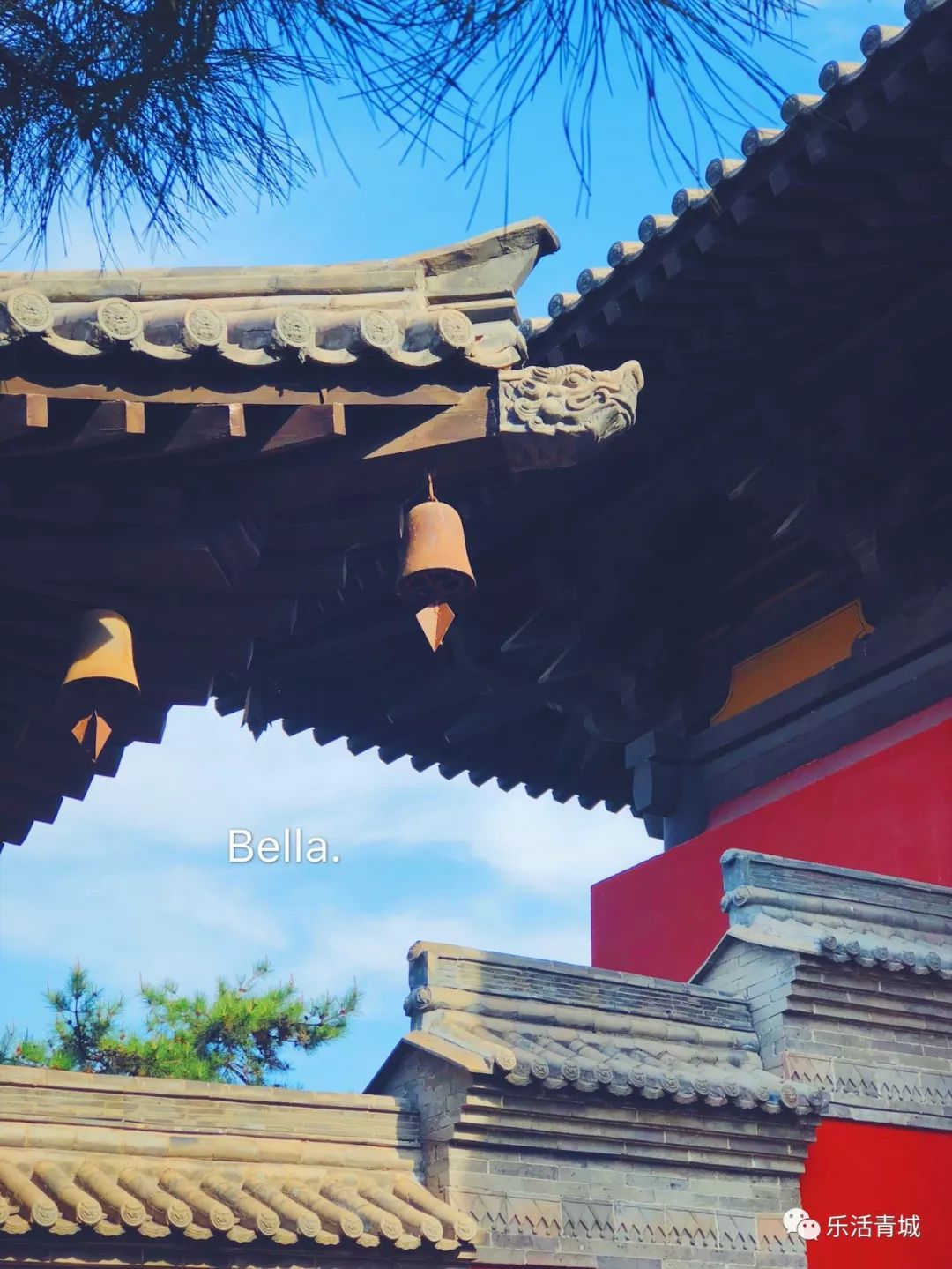 贝拉专访合集,贝拉专栏采访视频