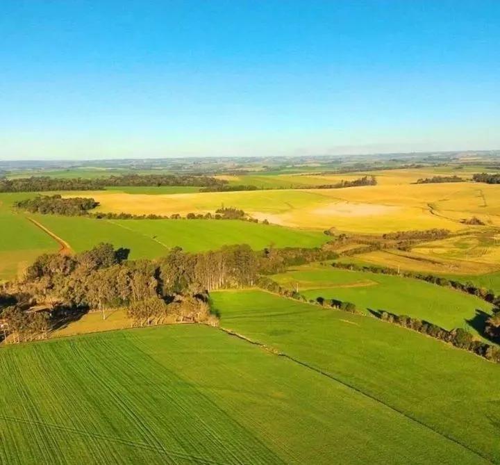 用钱去做农业会怎样,去农村搞种植业投资怎样做最好