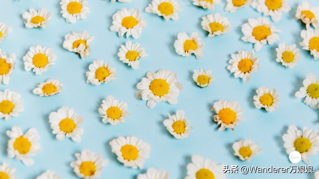 初中语文教师资格证面试如何备考,零基础初中教师资格证备考要多久