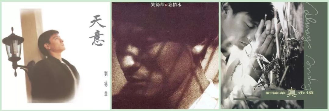 刘德华最好听的国语情歌,刘德华的哪首国语歌比较劲爆