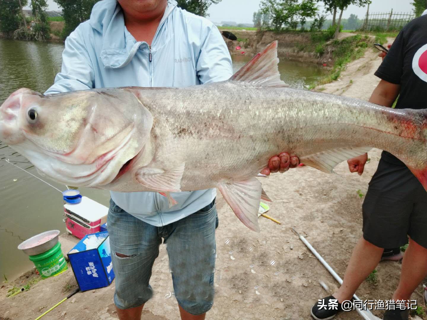 细线钓鱼有什么优势,野钓细线钓鱼技巧