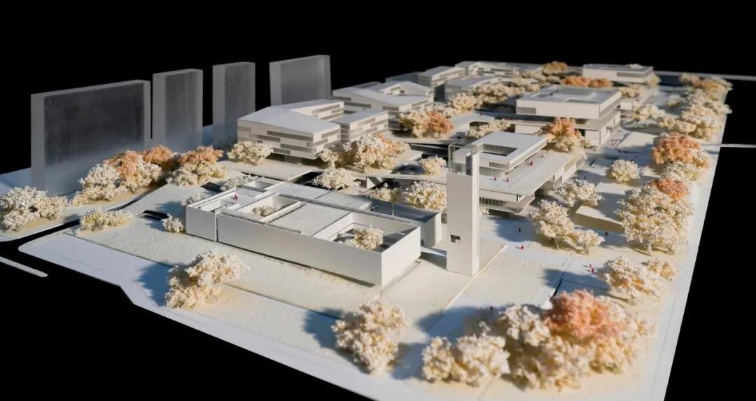 婢冲ぇ鍒╀簹鏂囧寲涓婚鍏洯,婢冲ぇ鍒╀簹iapa璁捐