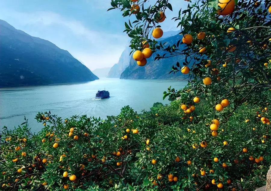 湖北38座城市公园数量排名,湖北有多少园林城市