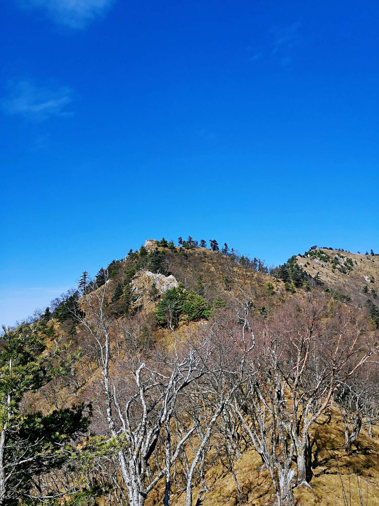 20201101惊悚之行~首阳山大坪梁单日横穿+原返