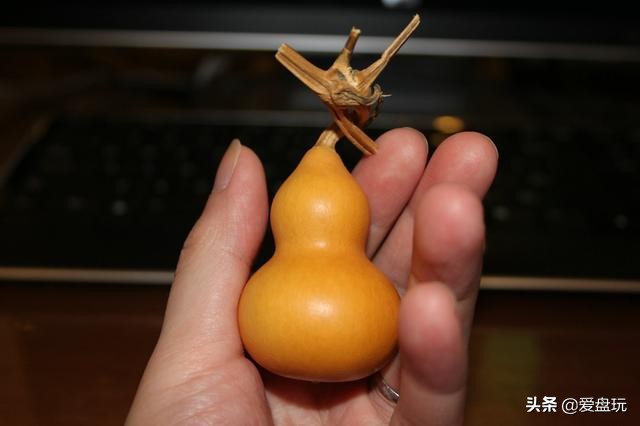 2019发财宝典,2019年发财锦囊