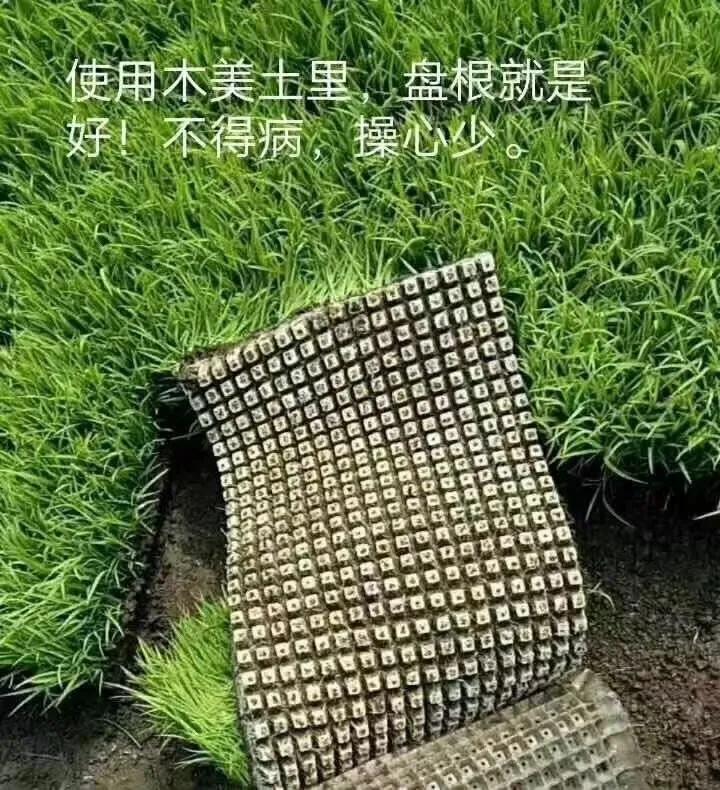 姘寸ɑ瑜愬彉绌楃梾鐥呰弻鐓х墖,姘寸ɑ瑜愬彉绌楃梾鎬庝箞棰勯槻