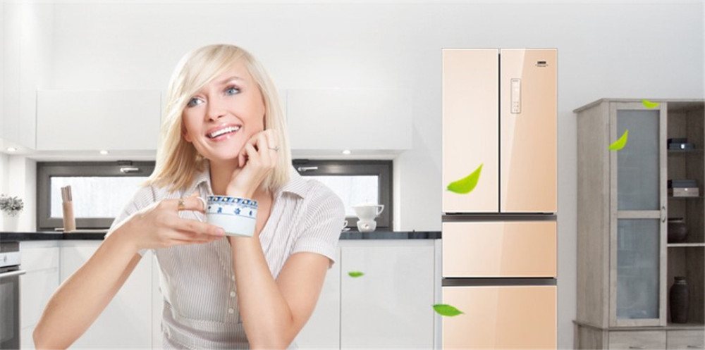 变频冰箱和不变频冰箱的区别在哪,冰箱锁鲜