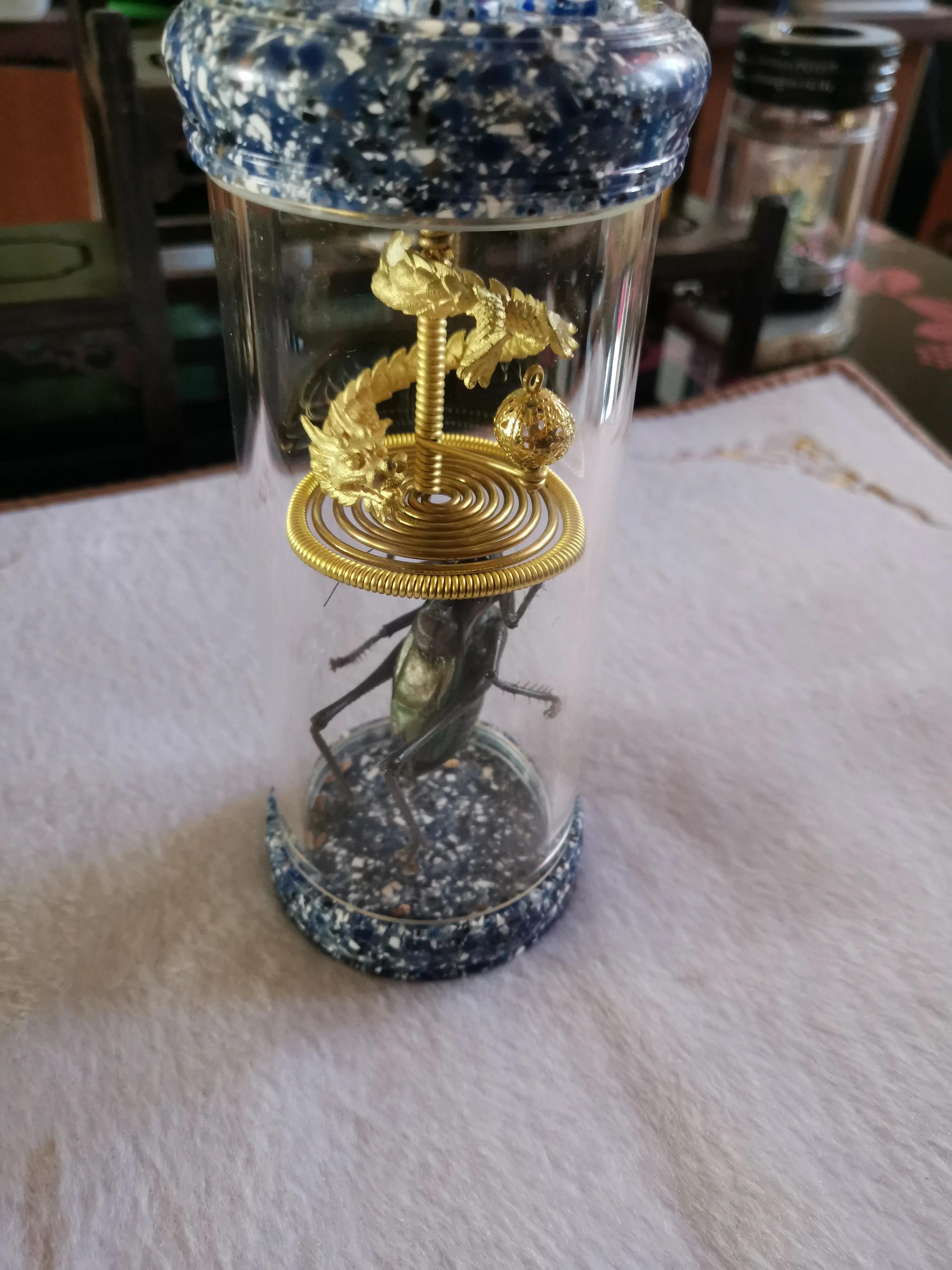 蝈蝈种类,蝈蝈虫具