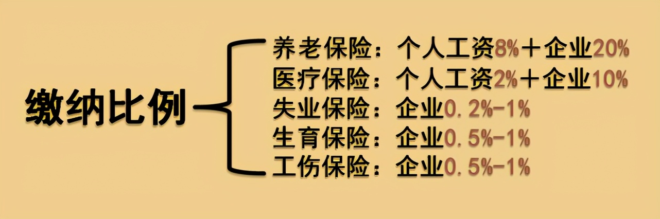 打工人五险政策,打工有五险吗