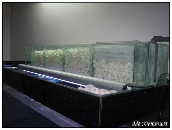 草缸新手入门需要准备什么设备,玩草缸怎么玩