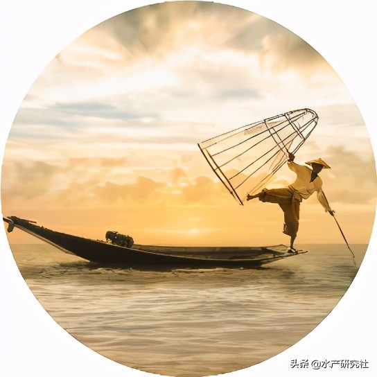 细菌感染的中药消炎药有哪些,细菌性炎症导致发烧怎么办