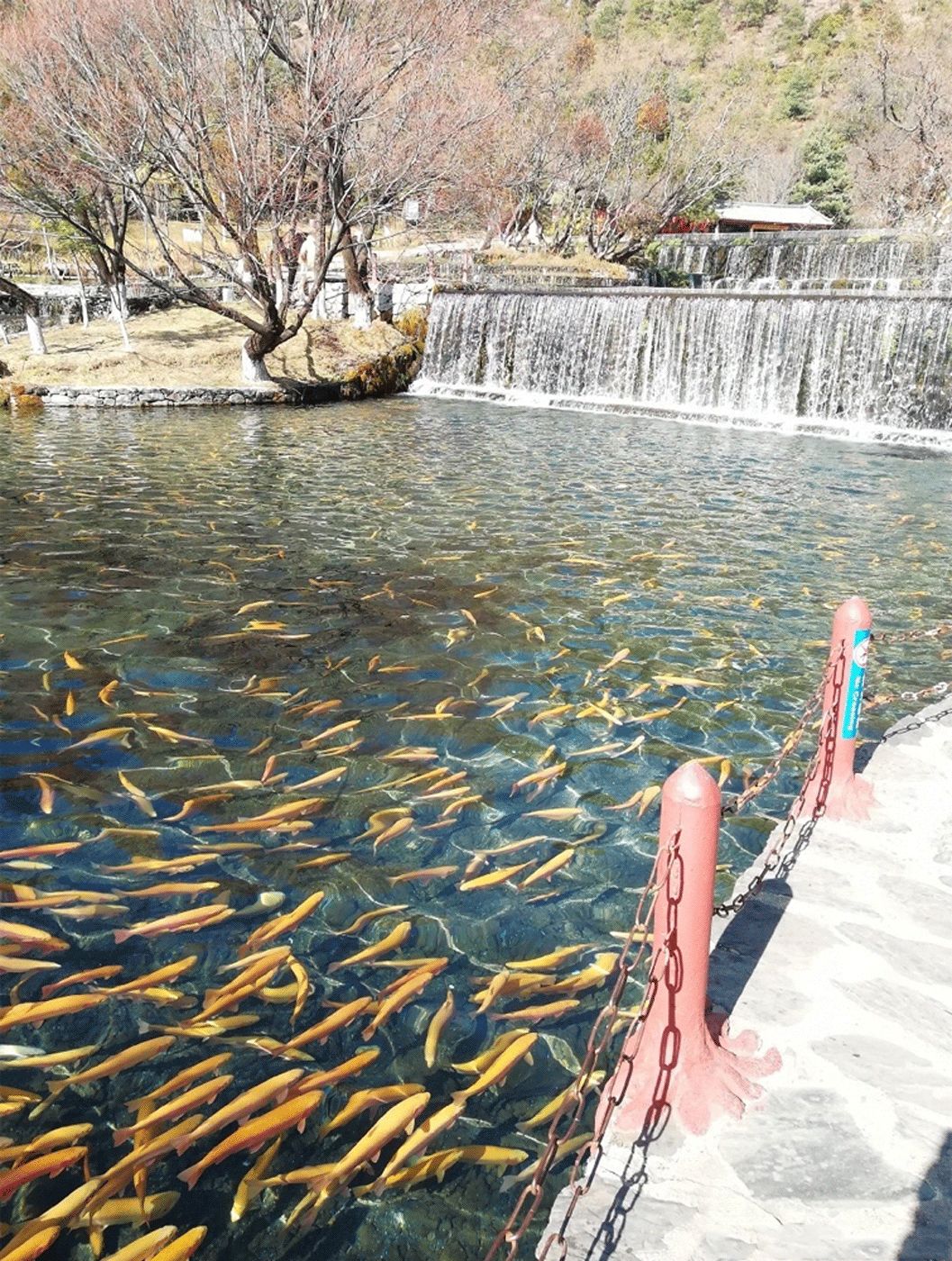 玉龙雪山日照金山的美,玉龙雪山日照金山美照