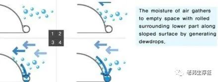 生存小技巧钻木取火,荒野生存取水技巧