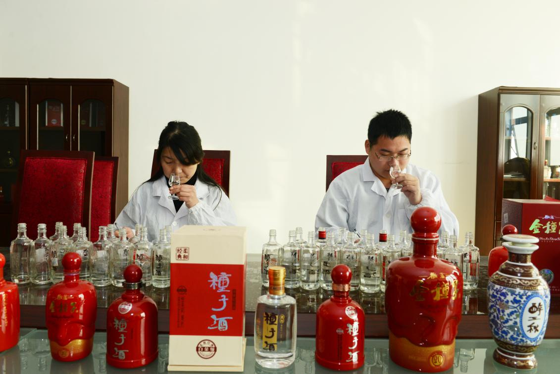 金种子酒的未来好吗,如何评价金种子酒