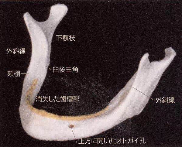 咬合重建详细步骤,如何制作咬合模型