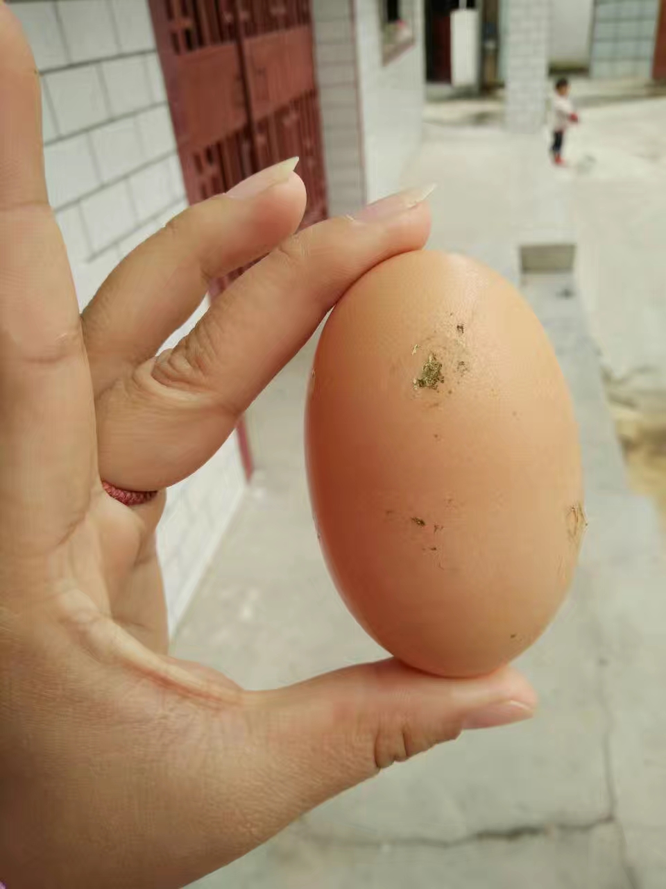 北漂回老家看父母的真实感受,北漂回家感慨