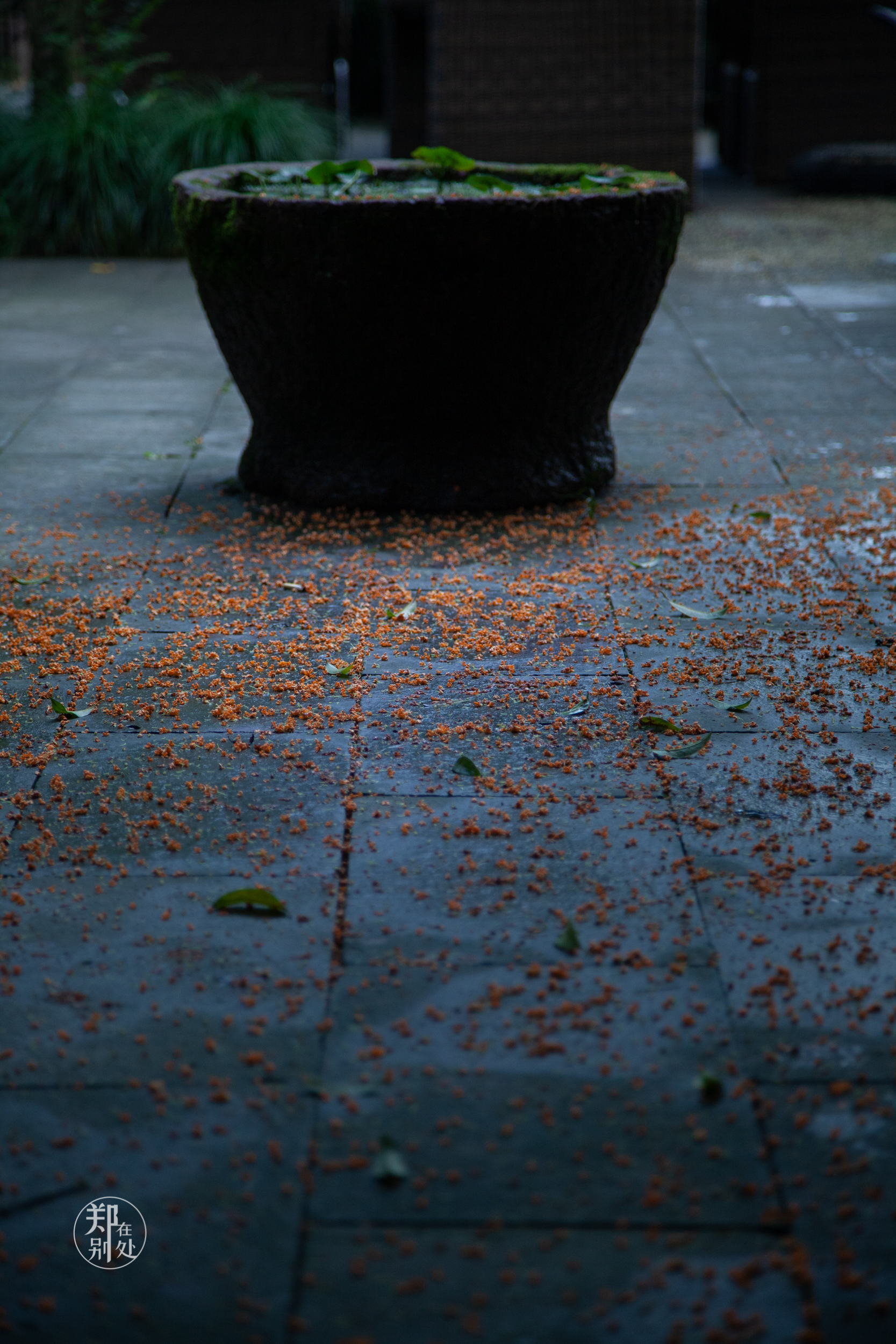 坐公交游杭州几路最好,杭州87路公交沿路风景