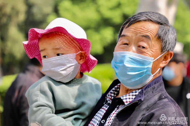 看洛阳牡丹花卉节,洛阳古都牡丹花展