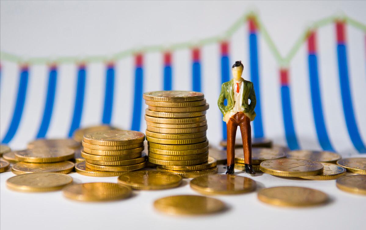 农村乡下种植的兰花,农业种植致富项目兰花