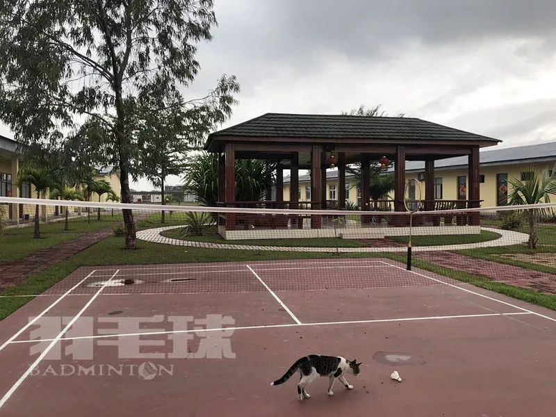 在非洲打羽毛球，我经历了这些