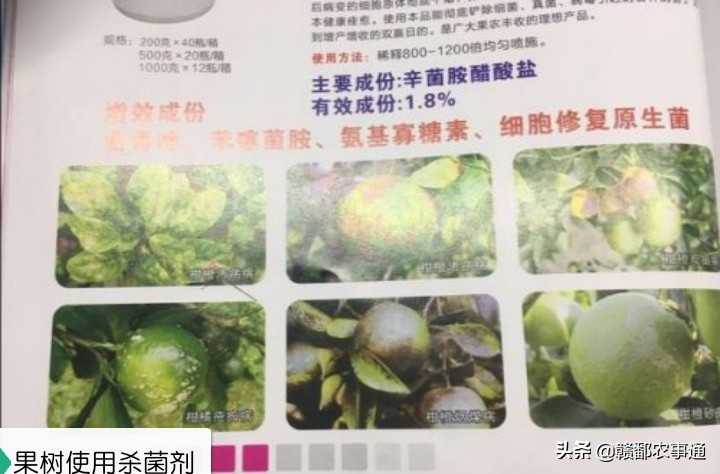 果园农药专用杀虫剂,果树杀粉螨最有效的杀虫剂是什么