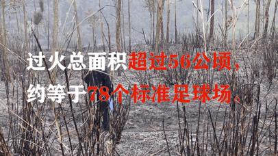 广安市广安区火灾最新事件,广安发生火灾