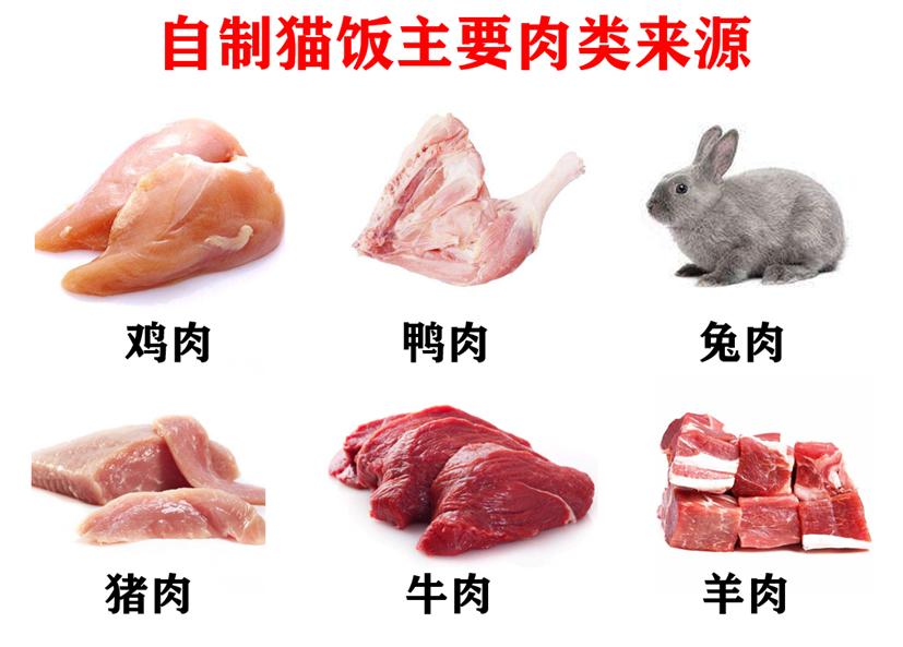 自制猫饭不重样,自制猫饭很难吗