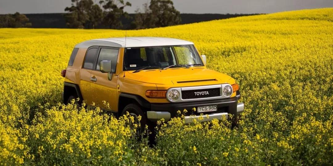 丰田车系大全霸道和陆巡,2022款丰田陆巡霸道2.5l