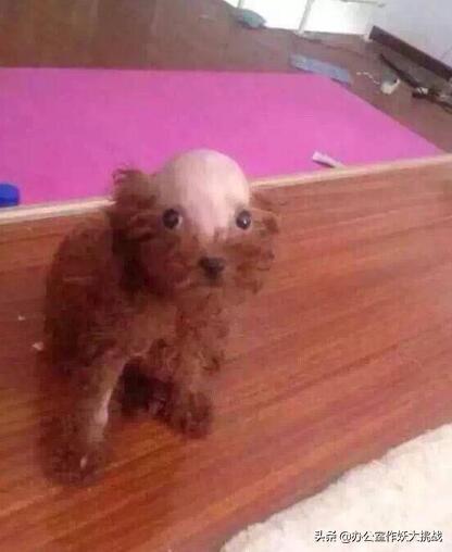 缃戣喘杩斿埄鎼炵瑧,鎼炵瑧璐墿杩斿埄