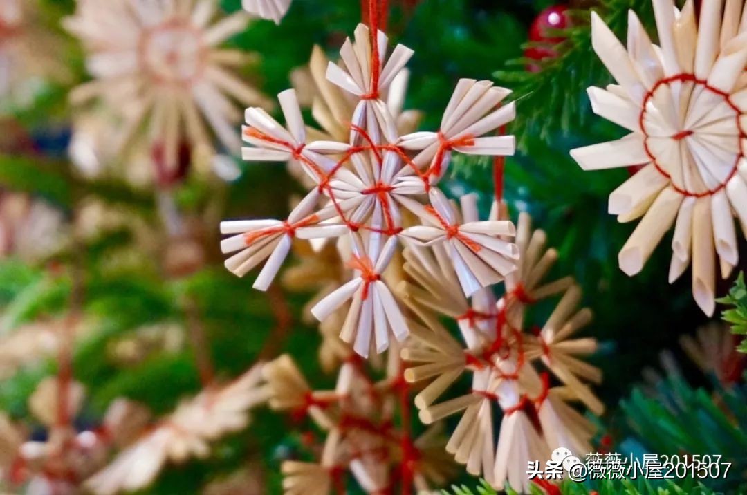 城市漫步,城市漫步郑州