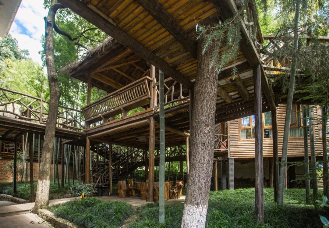 莫干山原木风绿野仙踪花园民宿,莫干山桃坡探险乐园绿野仙踪