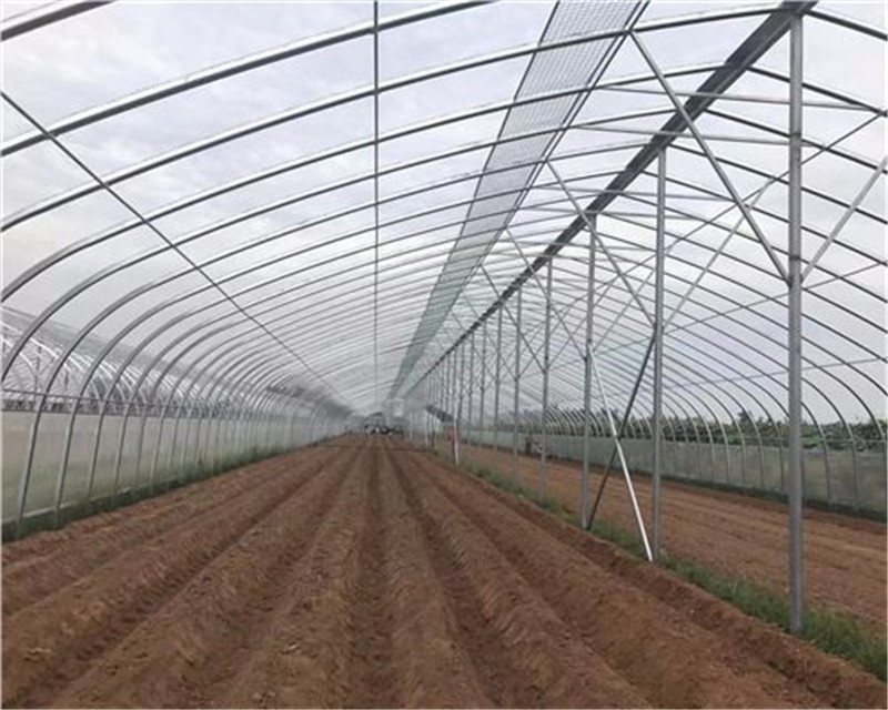 建造玻璃温室大棚多少钱,玻璃钢结构大棚造价