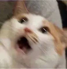 要是水和火碰到一起会怎么样,水和汽油哪个可以燃烧