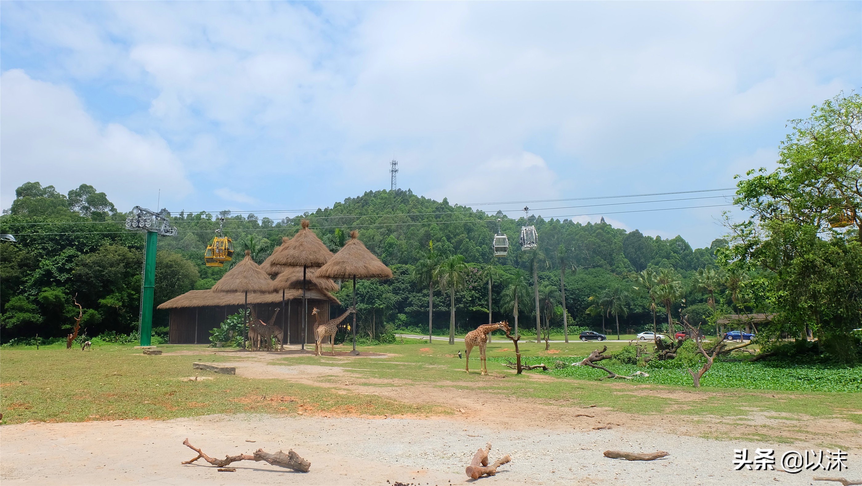 长隆野生动物世界游玩攻略,长隆野生动物世界带娃攻略