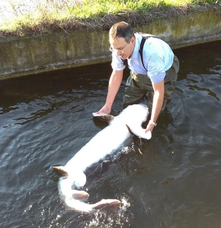21万一罐的!亿万富翁们的饕餮盛宴,鱼子酱为什么在手背上吃?
