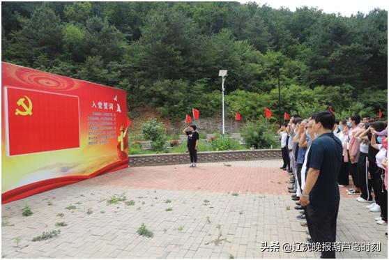 葫芦岛新闻今天,葫芦岛新闻头条今日
