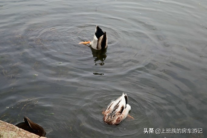 周末微旅行第一季,周末微旅行石湖